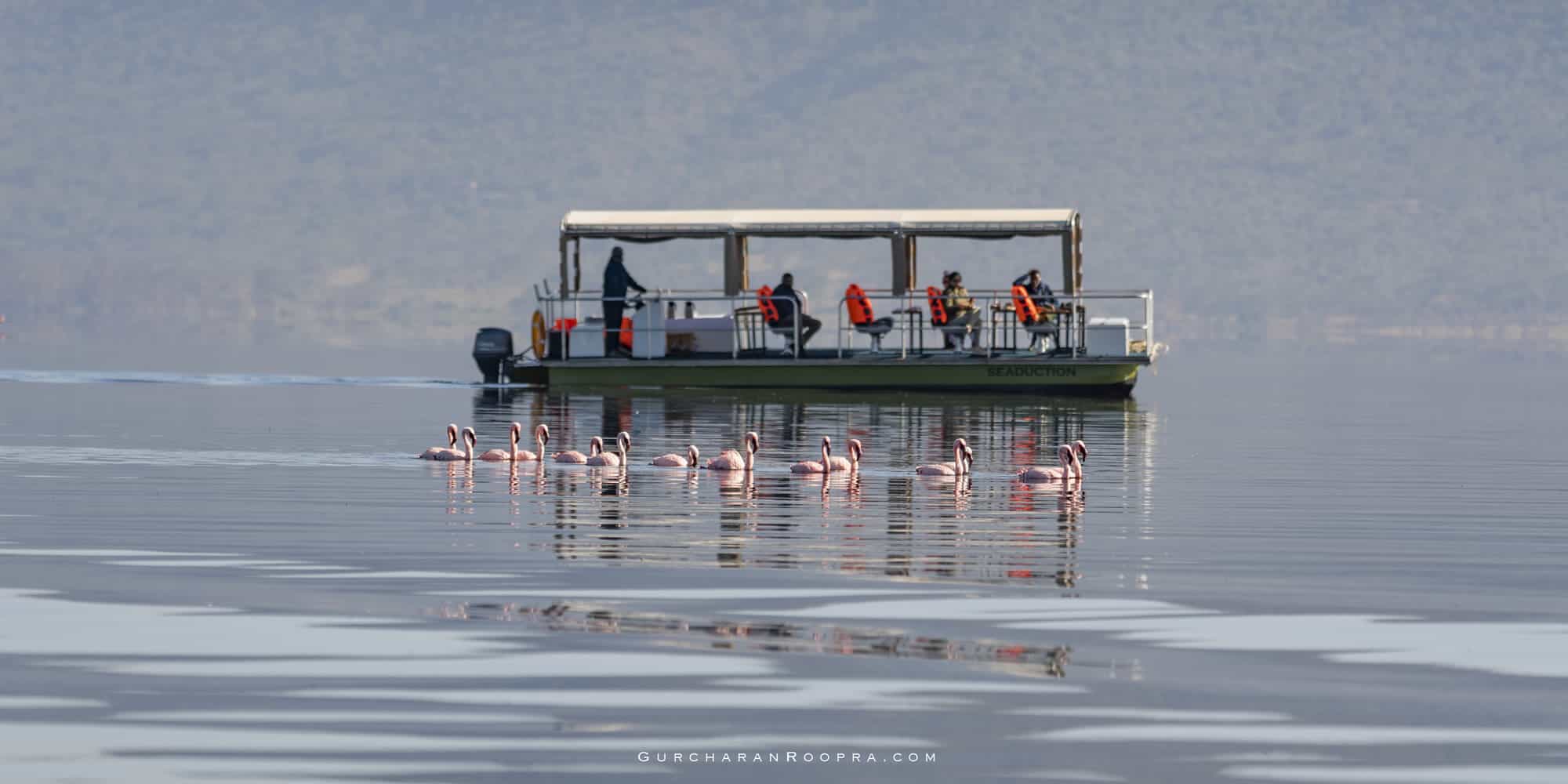 activities-cliff-boat