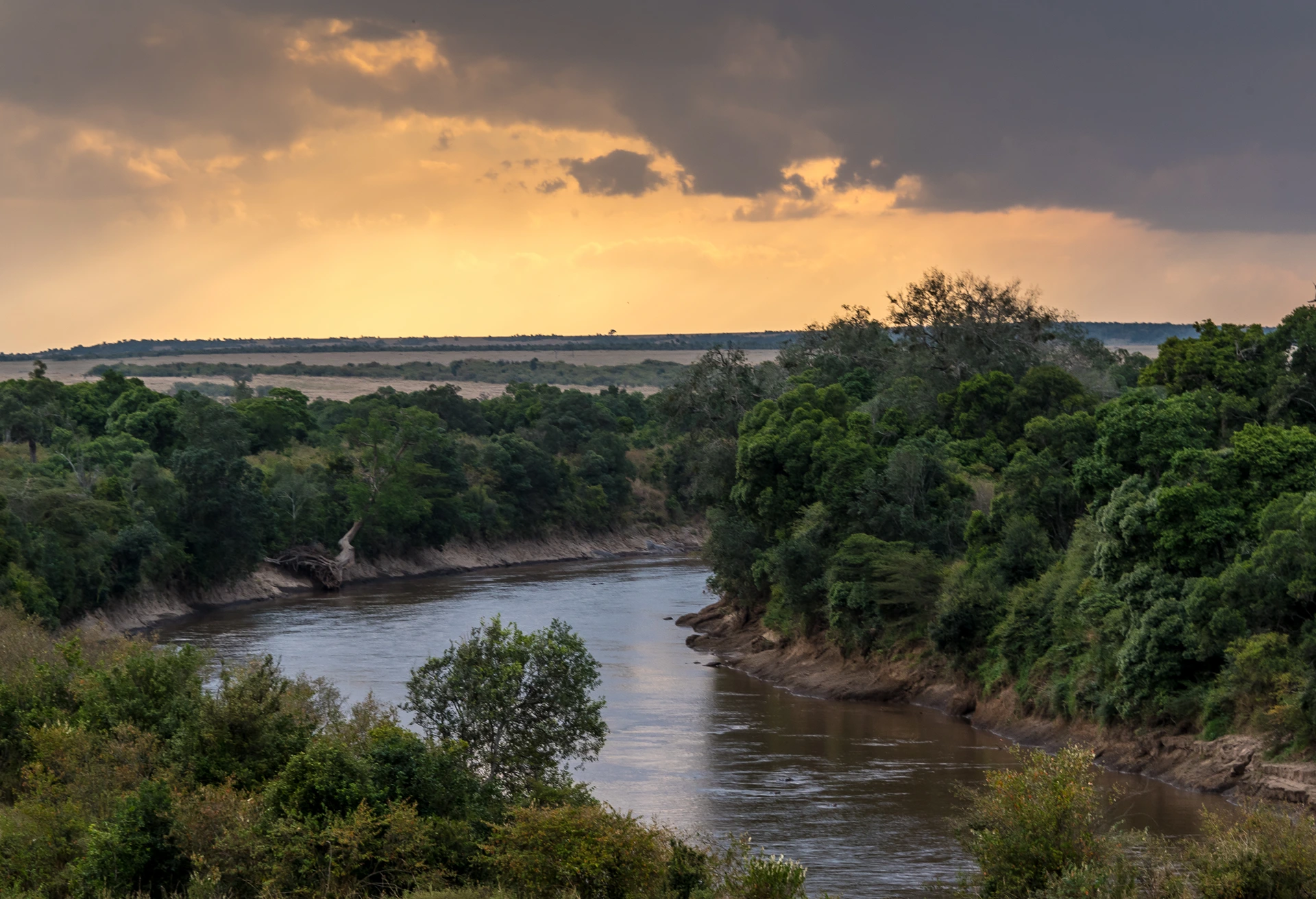 mara river