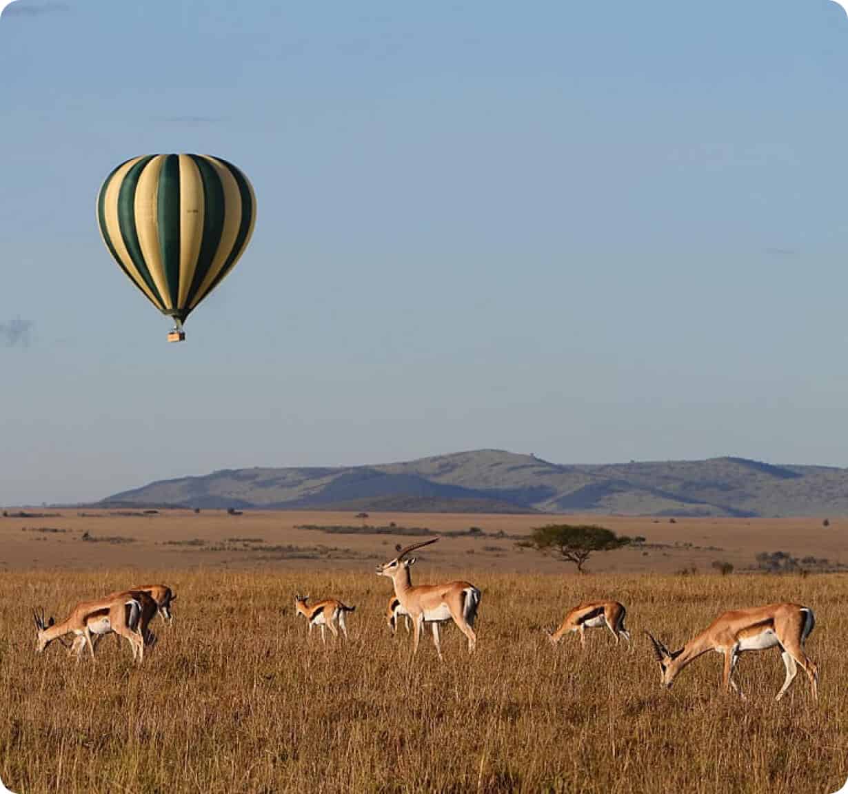 balloon ride maasai mara