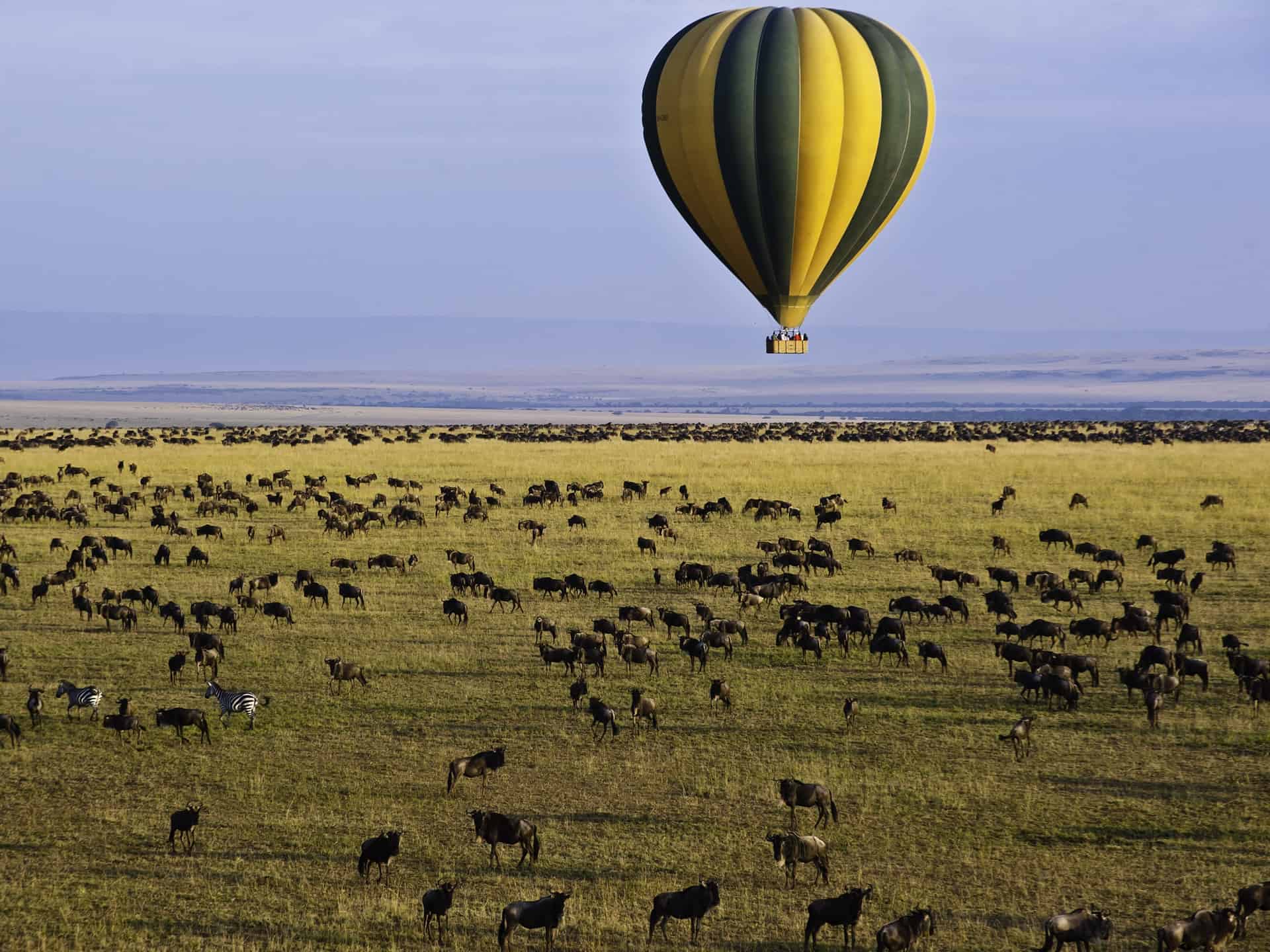 hot air balloon ride